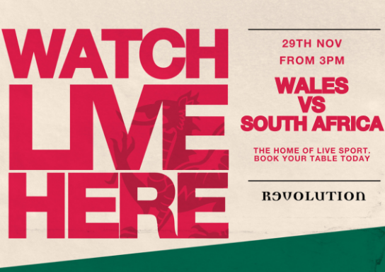 Wales v South Africa Live - Autumn Internationals @ Principality Stadium
